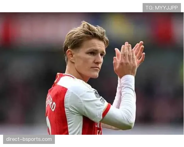 厄德高个人表现与团队成绩的生涯评估